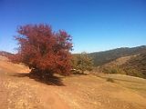 Ruta Sulayr 09-11-2013 12